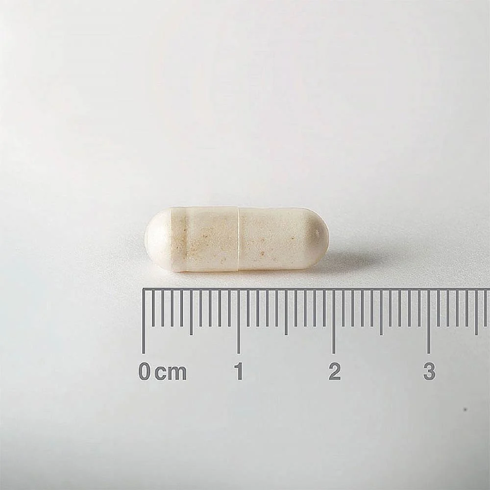 Lamberts Biome Balance Everyday 60 Tabs - Image 4