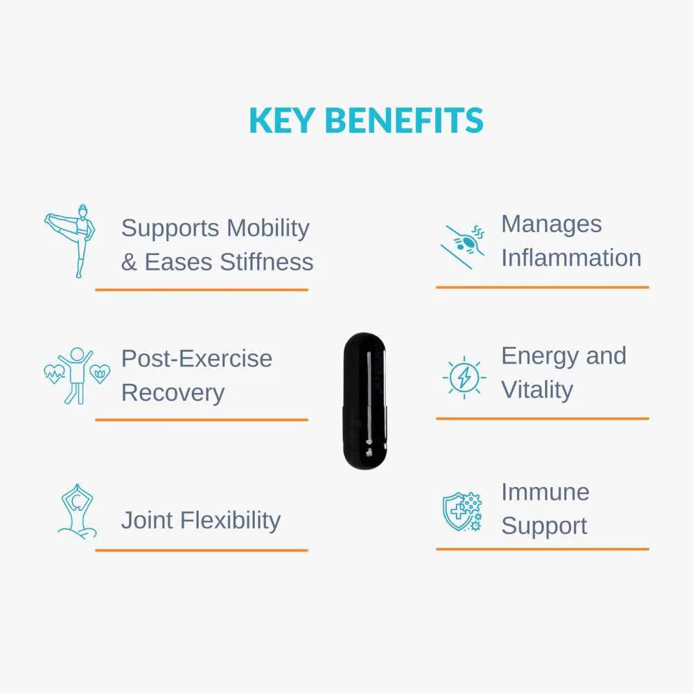 ZinUFlex Joint Support 60 Tablets - Image 4